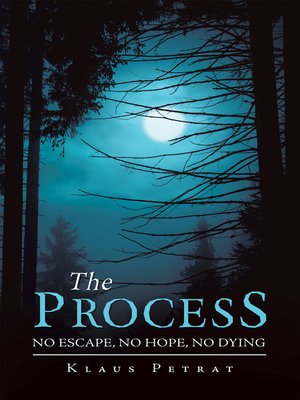 cover image of The Process